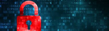 Denver Insurance privacy policy Denver CO