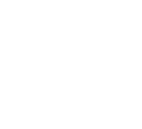 denver insurance logo