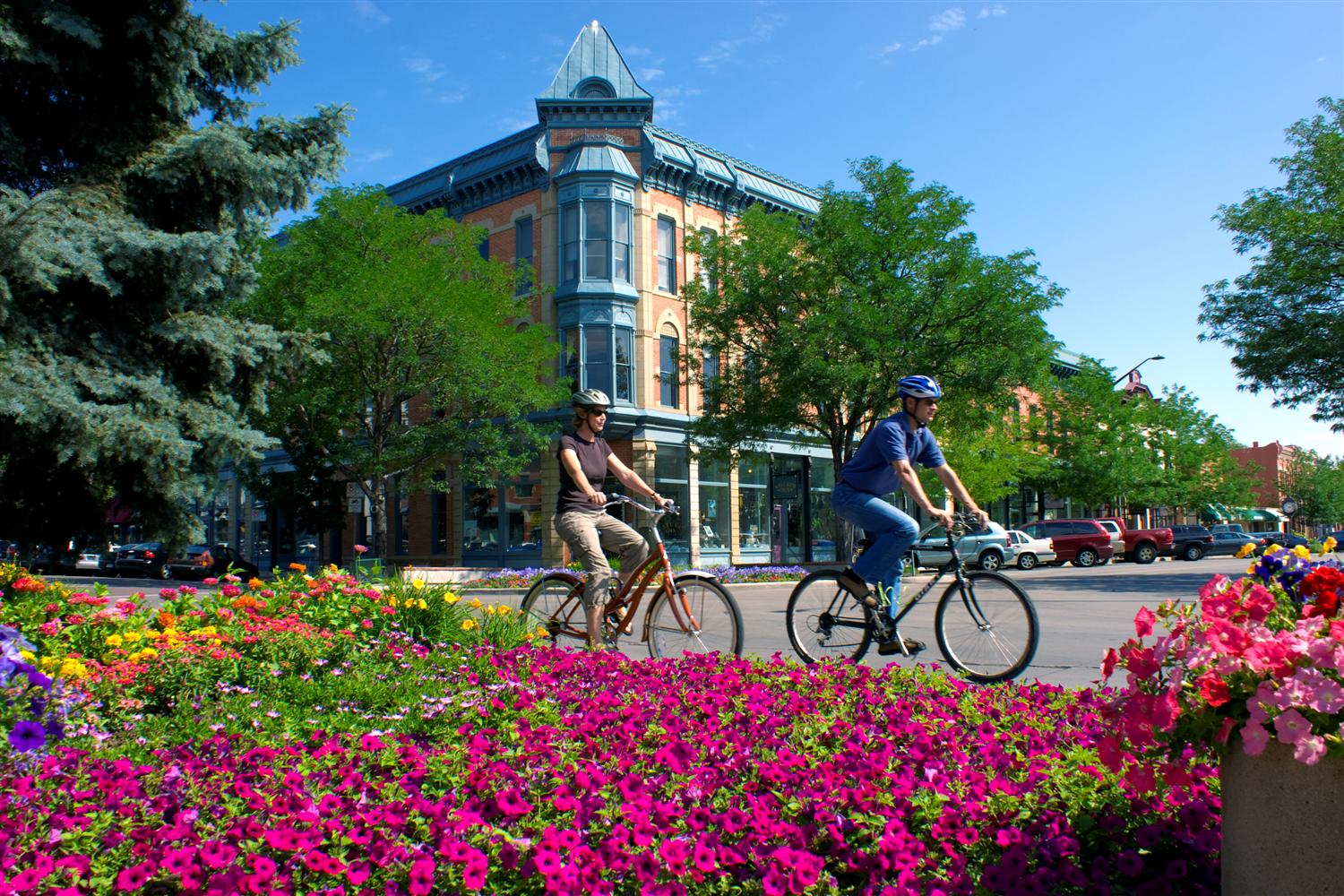 fort-collins-home-owners